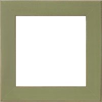 Olive, 6 x 6