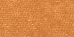 Carrot Weeks Wool