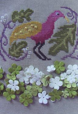 Birds Of A Funky Feather #1