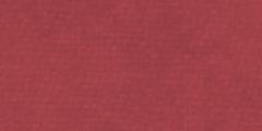 Begonia Weeks Wool