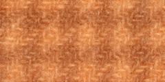 Carrot Houndstooth Weeks Wool