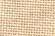 American Chestnut