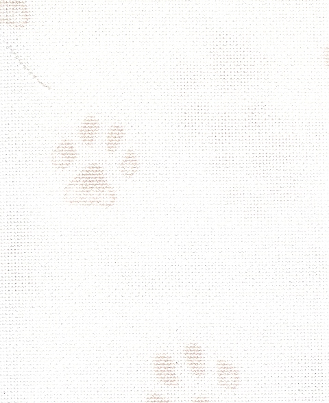 Pawprints Pawprints