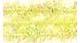 Pale Yellow 10